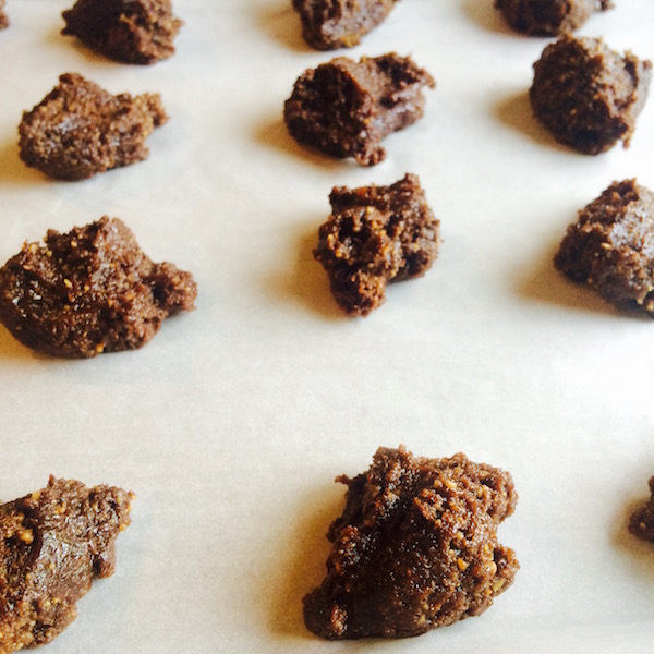 Gingersnap Cookies Closeup Raw