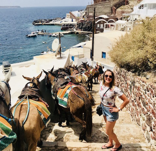 Donkeys at Ammoudi Port