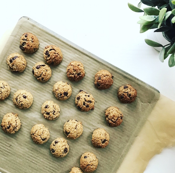 Gluten Free Chocolate Chip Cookies