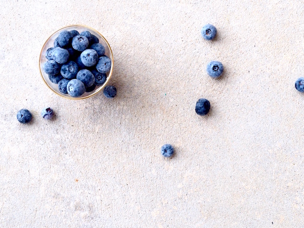 Blueberries Nutritiously Rooted