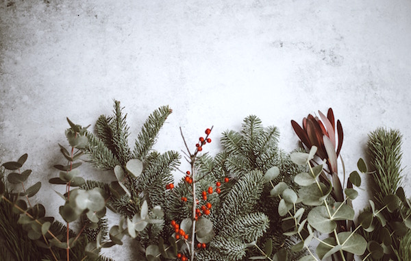 Christmas Garland Nutritiously Rooted